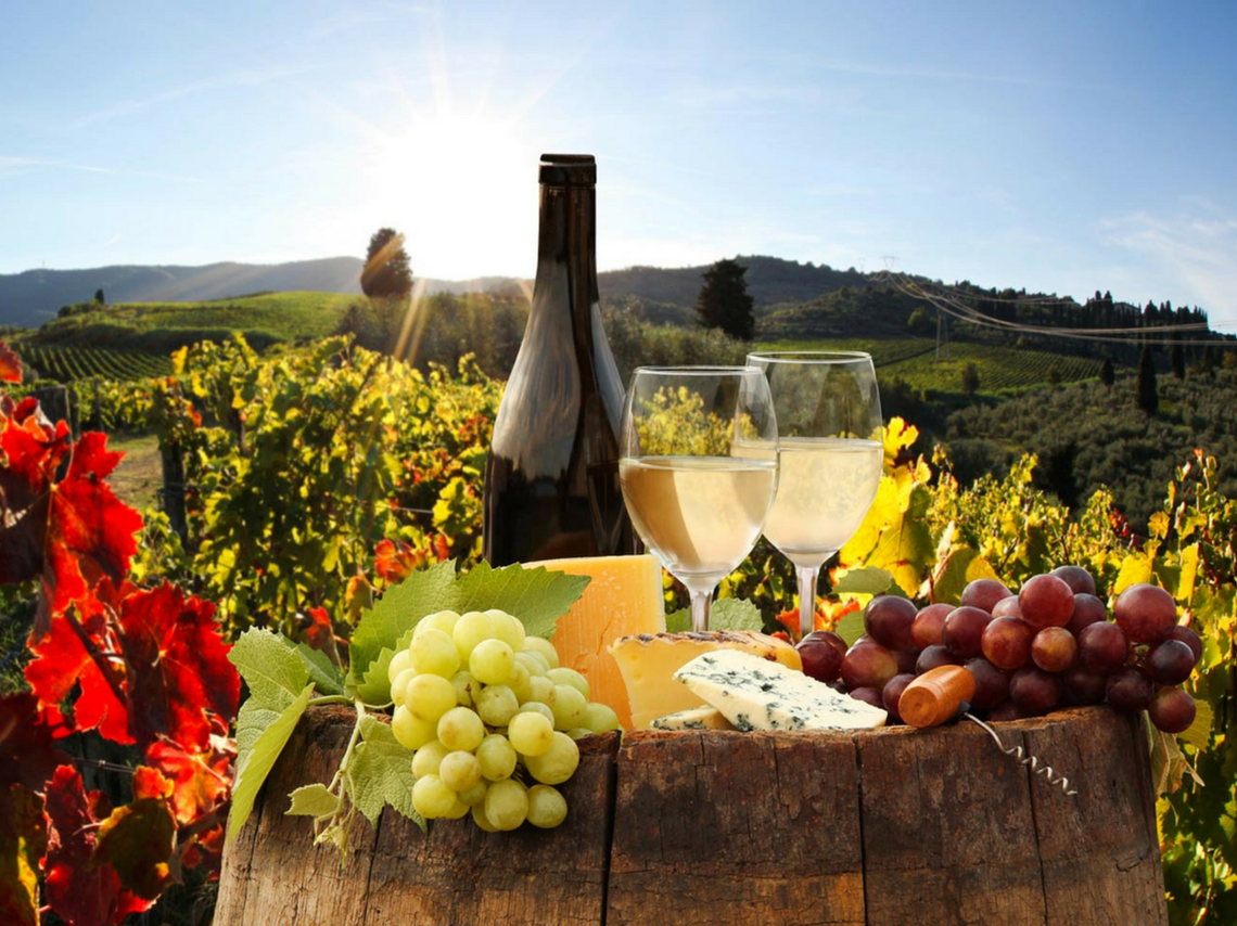 Ruta del vino y el queso 1 día